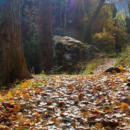 Rural Fuente De La Glorieta *